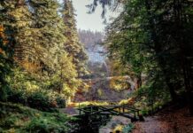 ‘Magical’ National Trust day out has ‘fantasy garden’ and ’40-miles of