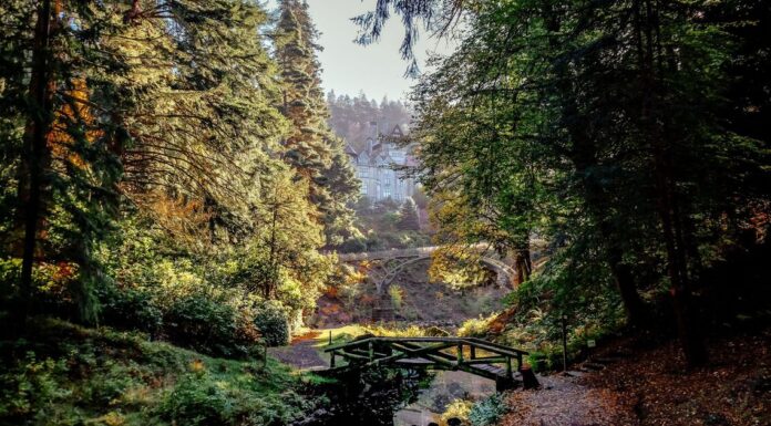 ‘Magical’ National Trust day out has ‘fantasy garden’ and ’40-miles of