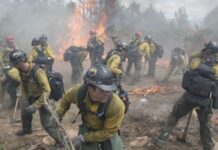 ‘Masterpiece’ film based on true story available on Amazon Prime – ‘have tissues ready’ | Films | Entertainment