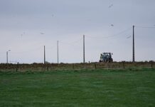 Proposed EU long-term agriculture budget has monitoring flaws, Court of Auditors warns