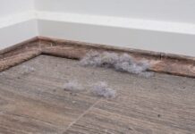 How to stop dust building for weeks with ‘life changing’ spray