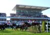 Half price tickets to the Opening day of the Randox Grand National | Racing | Sport