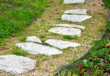 ‘I’m a gardening expert and there’s 1 job you shouldn’t do in March’