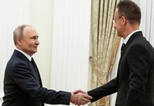 Putin releases two Hungarian-Ukrainian prisoners of war during Moscow talks