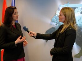 Hungary’s Ukraine pipeline claims are ‘nonsense,’ Lithuanian PM tells Euronews